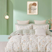 Постельное белье из королевского сатина Евро - RS-502