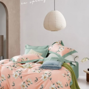 Постельное бельё из твил сатина 2 спальное европростыня - ТС-65