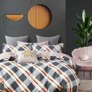 Постельное бельё из твил сатина 2 спальное европростыня - ТС-70