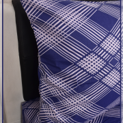 Кортес 500545 вид 1