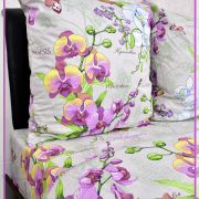 Орхидея 5484 вид 1