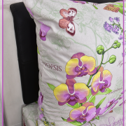 Орхидея 5484 вид 1