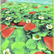 Земляника 3033(4366)