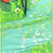 Земляника 3033(4366)