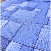 Джинса 21959-1