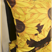 Кошки желтые 21994-1