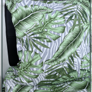 Монстера 21525-1