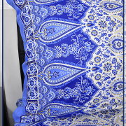 Огурцы синие 6229-1