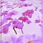 Орхидея 8000-1