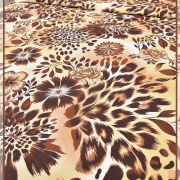 Сухоцветы 21917-1