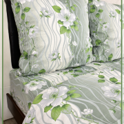 Течение 21923-1