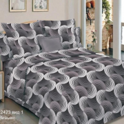 Постельное бельё из бязи (пл. 120Ш) 2 спальное - Б120-37