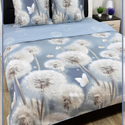  Евро-макси - 8096